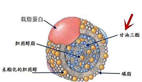 &#20061;&#28216;&#24179;&#21488;&#45;&#20061;&#28216;&#40;&#20013;&#22269;&#41;&#19968;&#31449;&#24335;&#26381;&#21153;&#24179;&#21488;