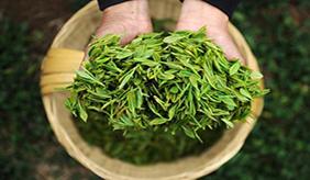 &#20061;&#28216;&#24179;&#21488;&#45;&#20061;&#28216;&#40;&#20013;&#22269;&#41;&#19968;&#31449;&#24335;&#26381;&#21153;&#24179;&#21488;